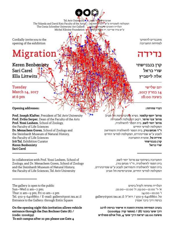 Migration: Keren Benbenisty, Sari Carel, Ella Littwitz